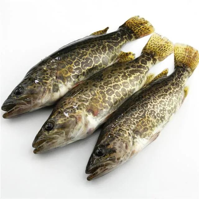 中国最好吃的4大淡水鱼,中国特别好吃的10种淡水鱼