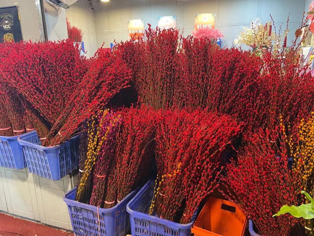 实拍青岛花卉市场！你每年都会选购哪些品种的年宵花呢？