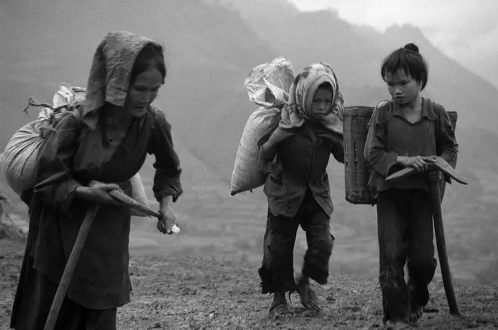 希望工程30周年纪录片,希望工程25周年视频