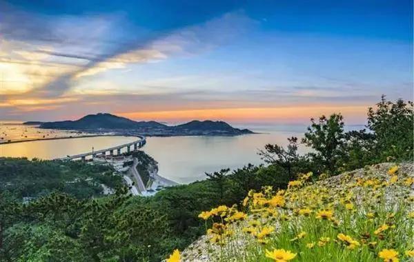 最新山东正在招商的景区,山东免门票的景区都有哪些