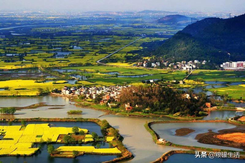 宁安响水石板大米怎么样,宁安真正的响水大米在哪里