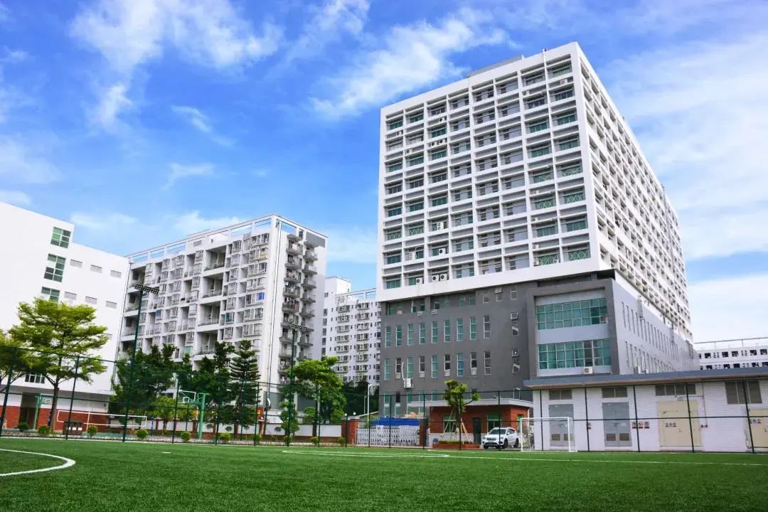 深圳讯得达国际学校,讯得达教育怎么样