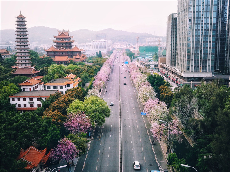 买房马尾板块好还是金山板块好,马尾板块发展趋势