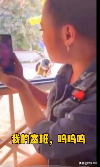 抖音里塞班什么意思,抖音塞班梗