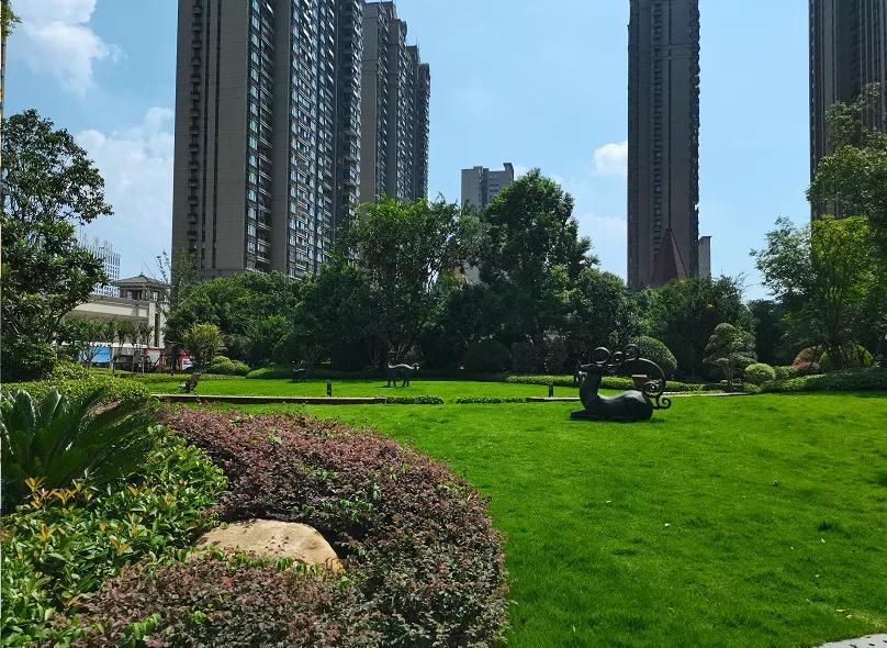 中国十大物业品牌排名,十大最强物业排名