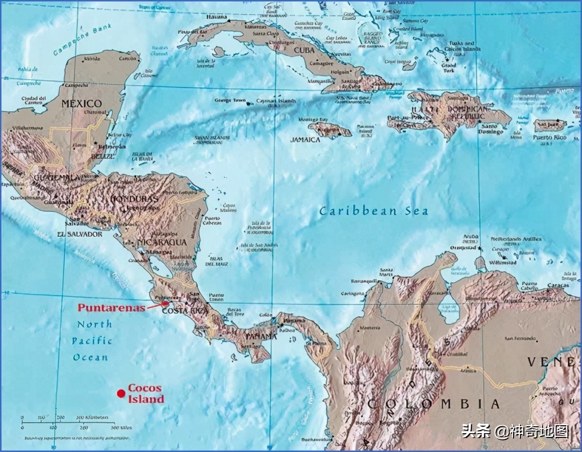 乱谈岛屿,102岛上的宝藏（TreasureontheIsland）