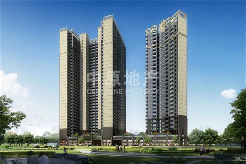 深圳打新股票有哪些,深圳股市打新股规则