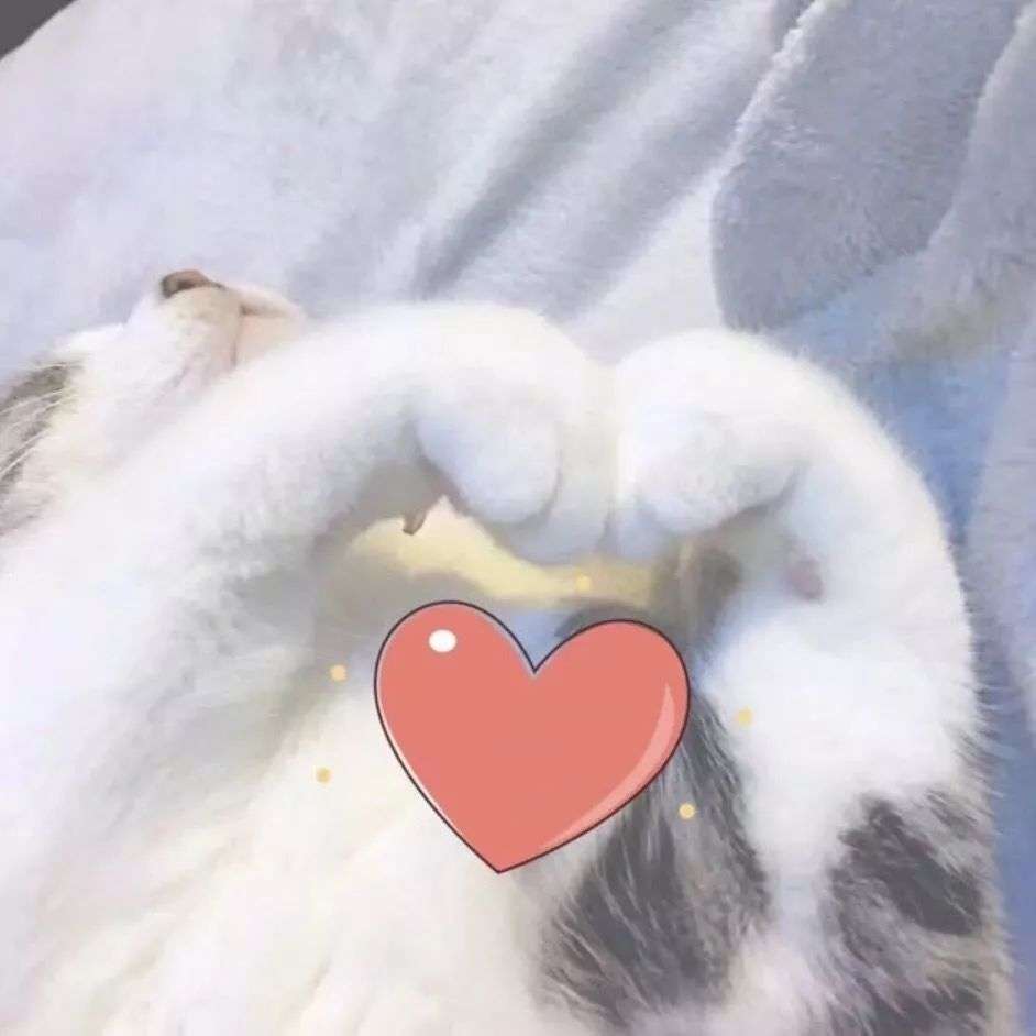 tomford,tomford黑管迷你五色唇膏