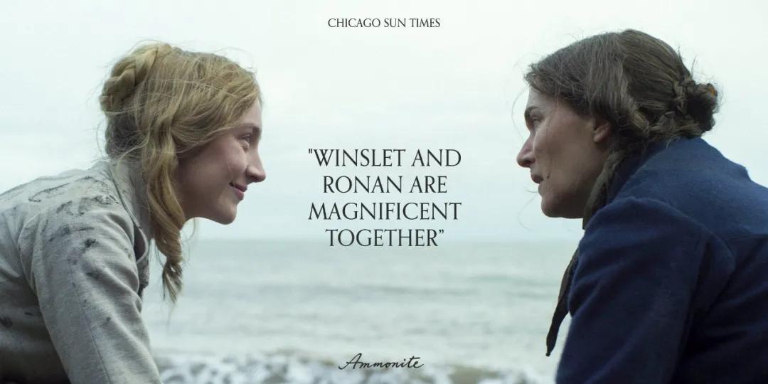 《菊石》的后劲：沉浸体验式的阅片过程，前所未有