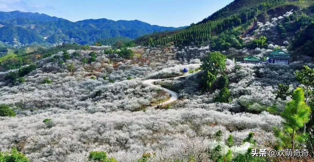 御水温泉陆河,御水湾温泉度假d区