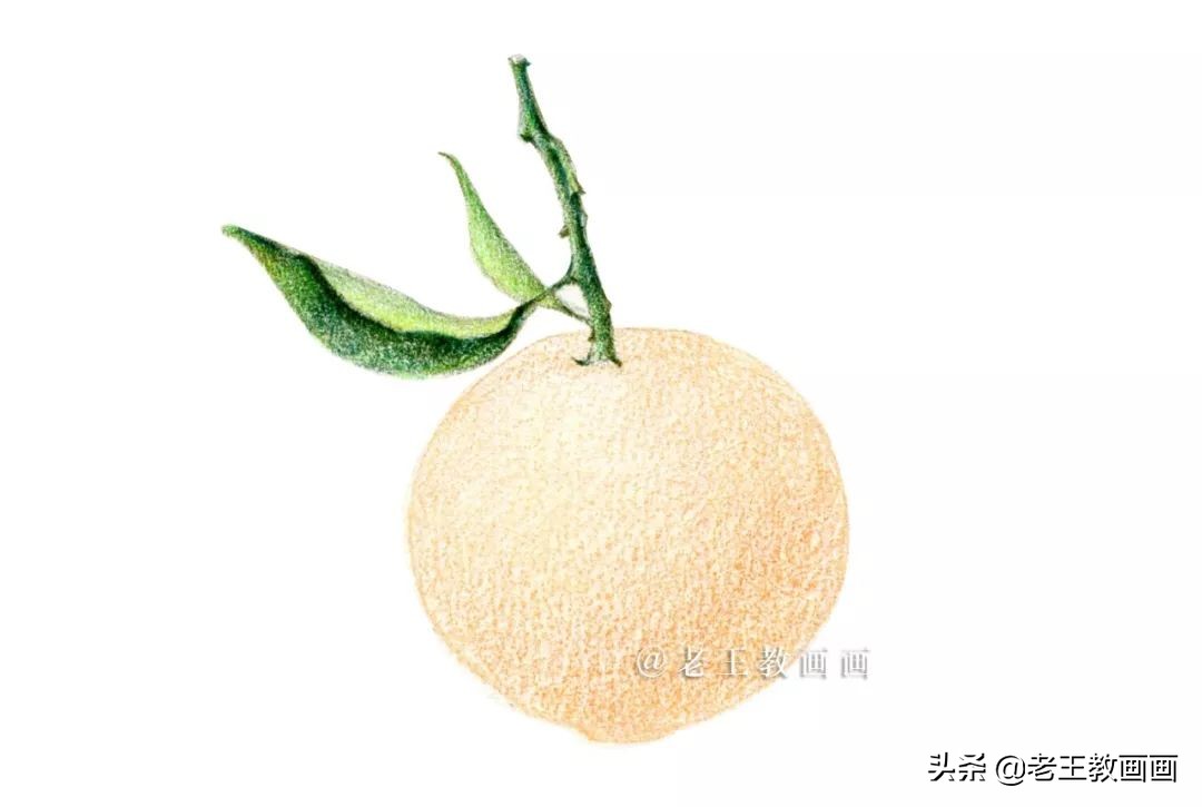 橘子彩铅手绘过程详解,超详细的彩铅橘子教程