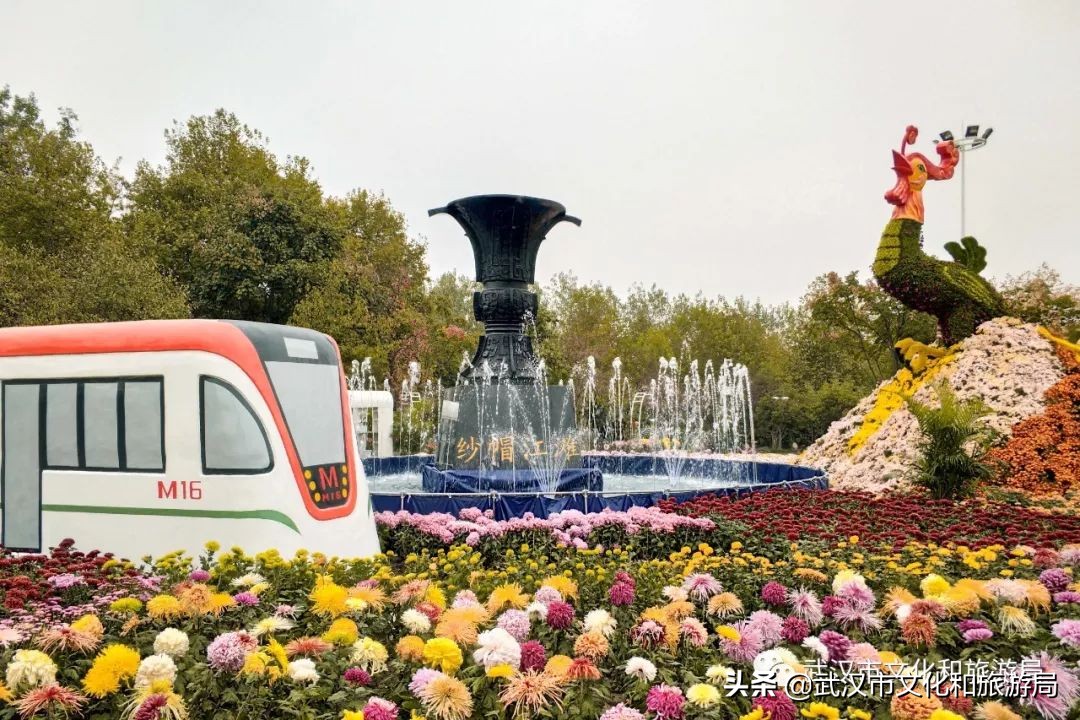 花点时间武汉东湖樱花园,武汉花点时间