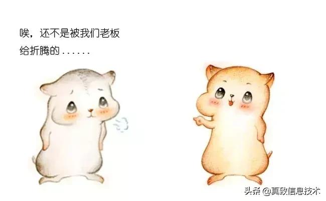 什么是中台元仓,什么是中台测试