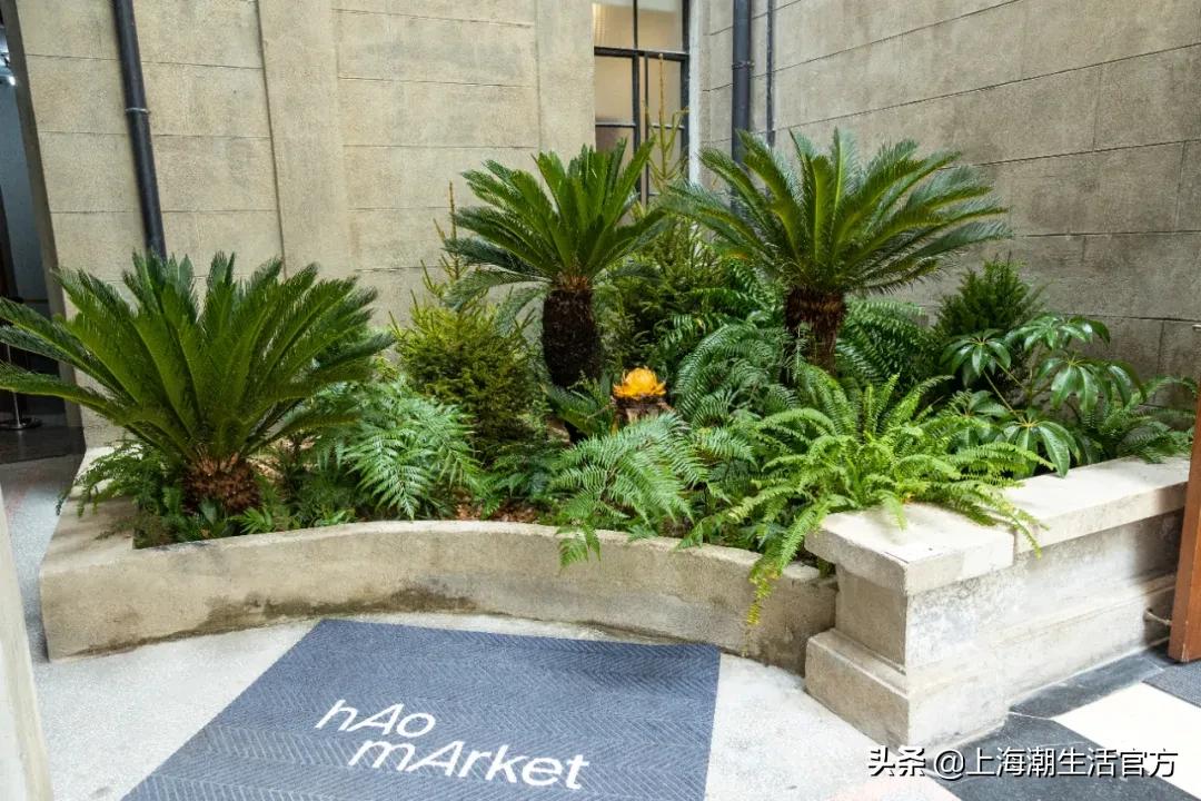 时髦精都在逛的hAomArket好市,一站式承包你的冬日小众好物