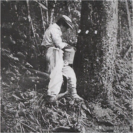 巴西足球给巴西带来了什么,巴西除了足球的历史还有什么历史