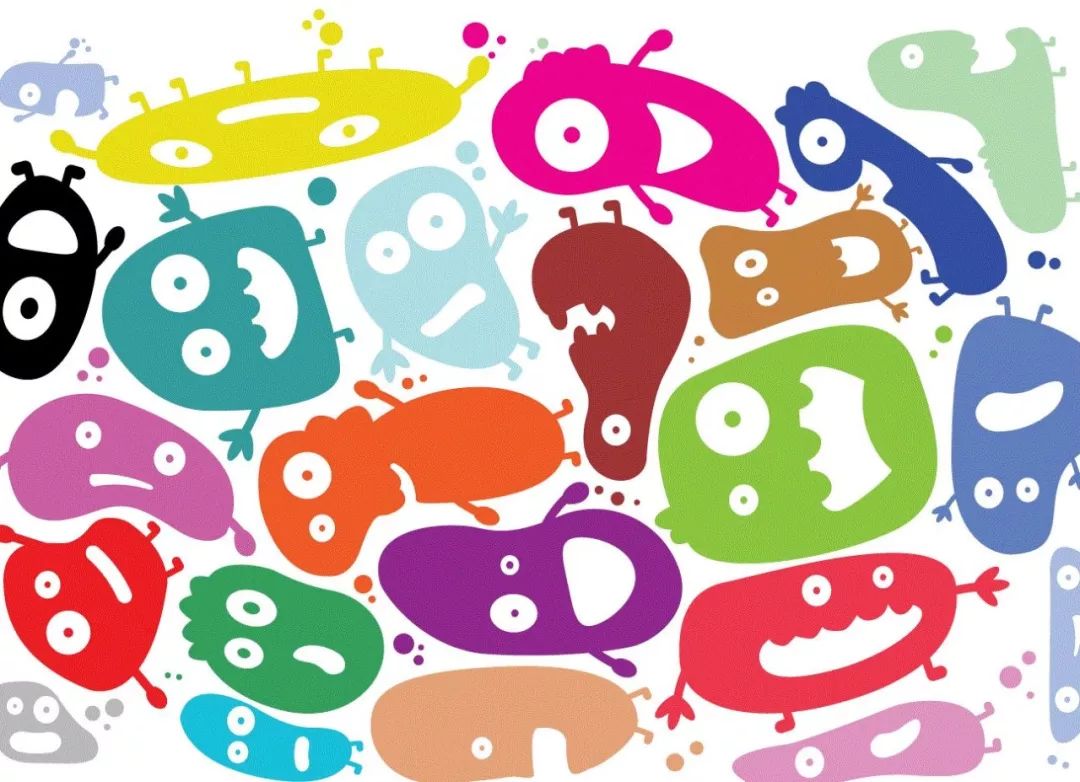 宠物饲料宠物食品,宠物食品需要了解什么