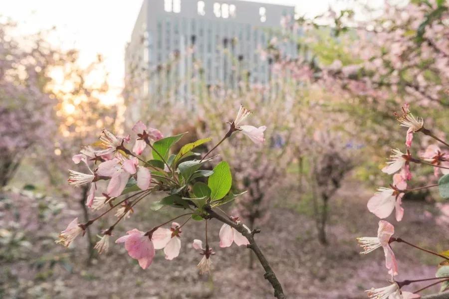 安徽省高校合肥理工,安徽省二类本科公办大学