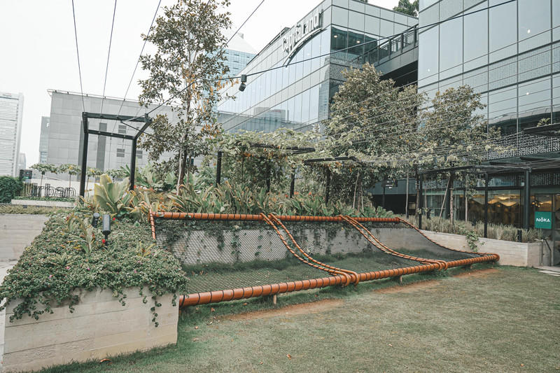 一人一猫环游,一人一猫旅行