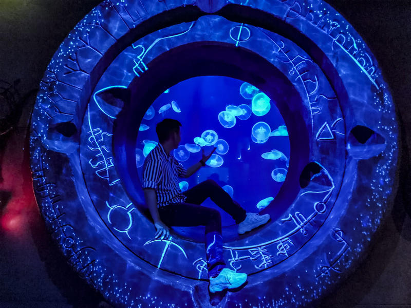 从天空到海洋到大地的视频,从天空到海底绘本