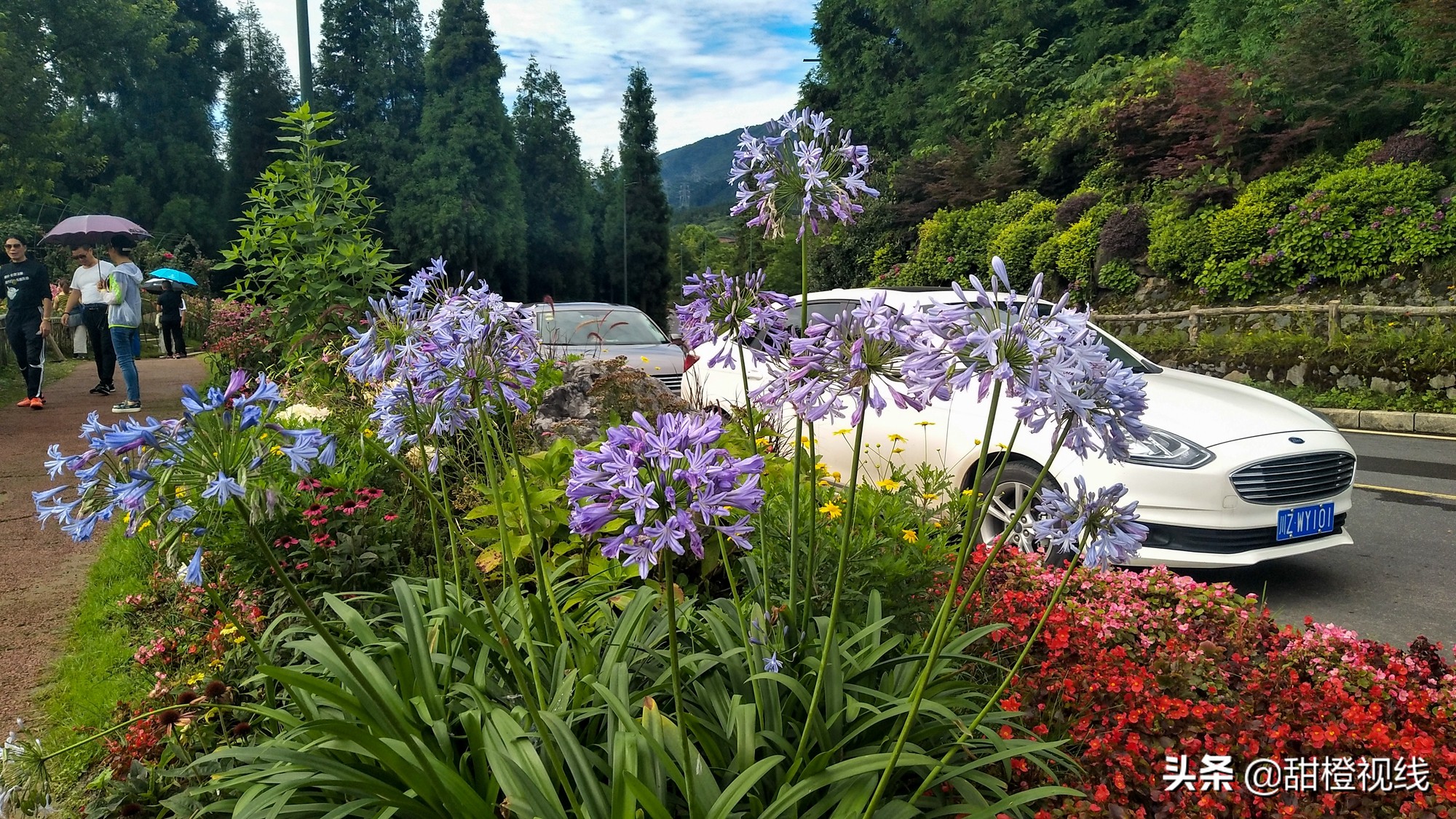 洪雅七里坪温泉小镇,洪雅县七里坪度假区管委会