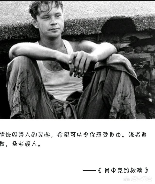 生活这么难为什么还是有人坚持,生活那么难为什么还要继续