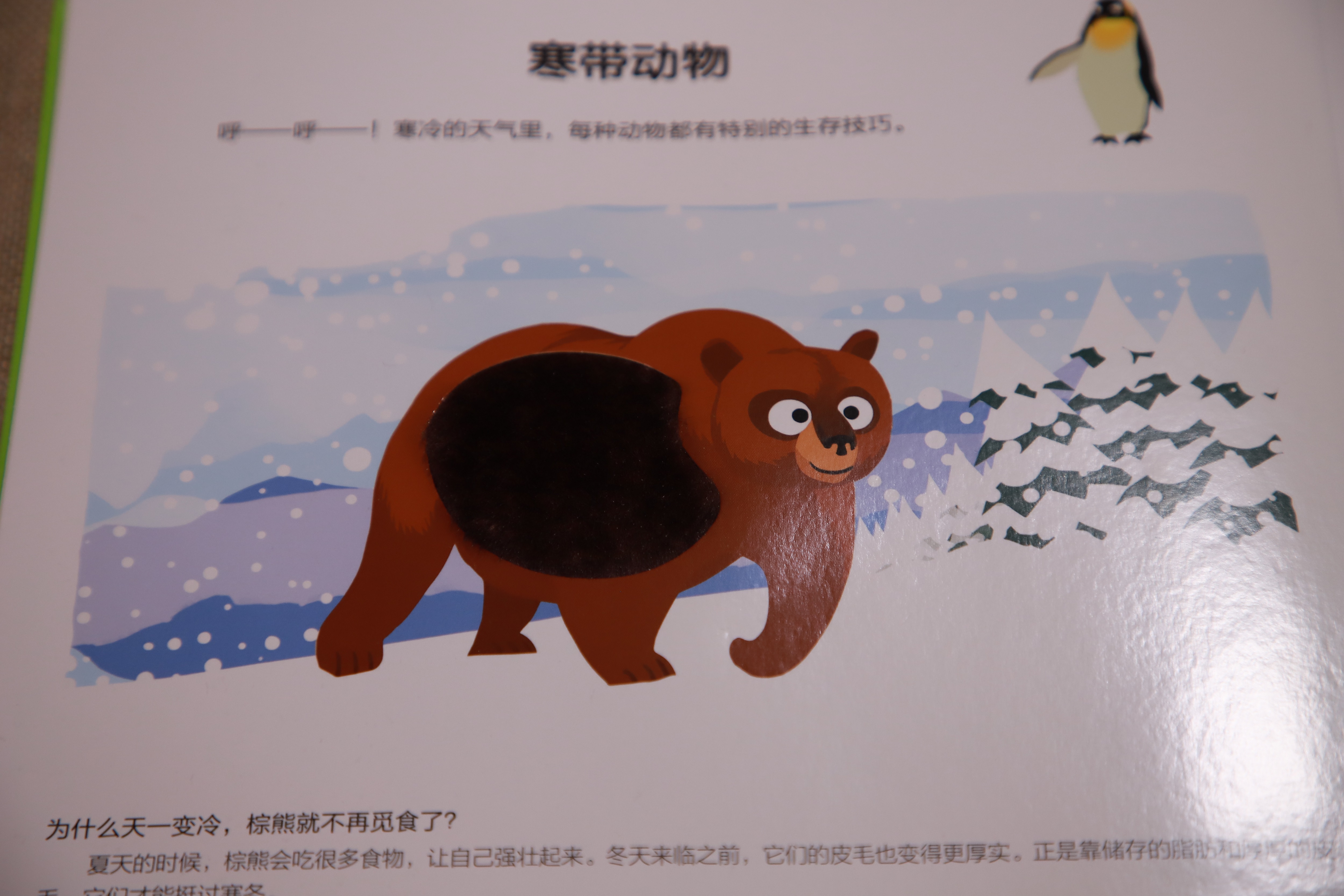 难怪孩子总是不爱读书，原来普通的儿童绘本早就过时了！