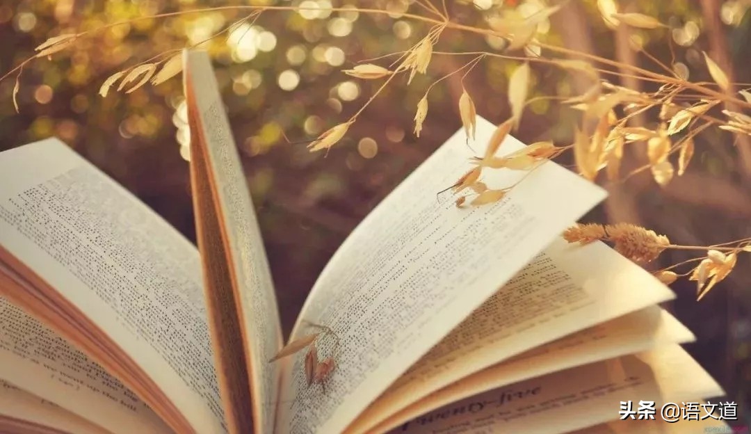 100对近义成语及辨析方法,高中易混淆成语及解释