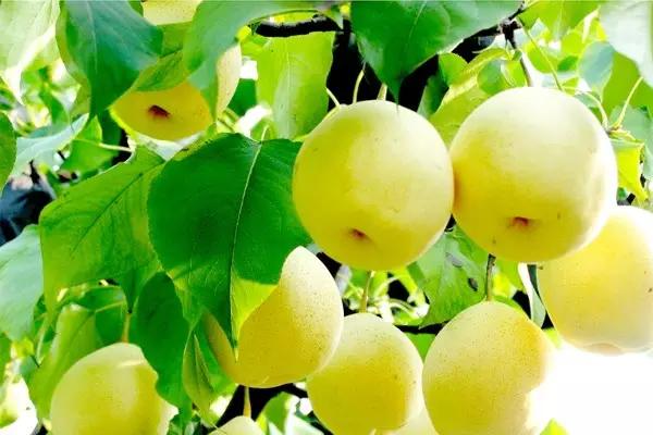 上海的魅力在什么地方,上海十六个区哪个区最好