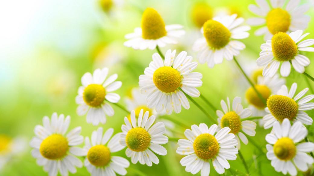 “小菊花”那点事！浅谈婴幼儿肛门常见的三种疾病！不容忽视！