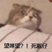 “做公关被长辈认为是陪酒女…”网友评论扎心了！