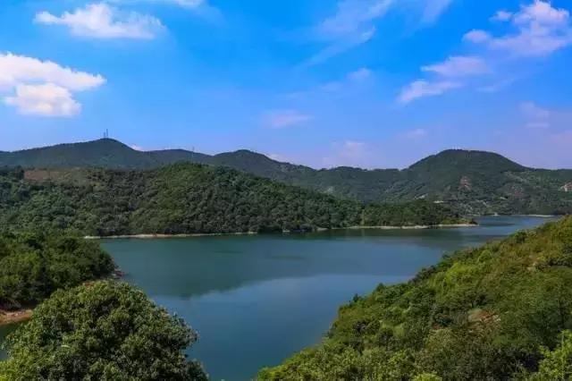 宁波周边踏青免费一日游,宁波踏青游玩的景点