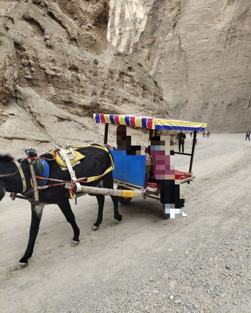 我的一次看病经历,艾灸治疗中耳炎真实经历