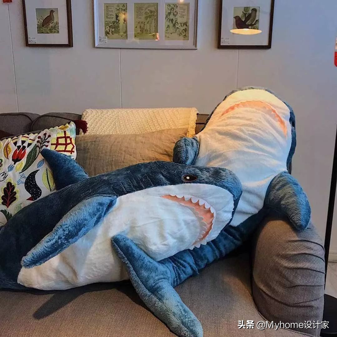 瀹滃鍜宮uji瀹跺眳,瀹滃muji