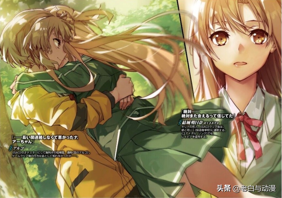 刀剑神域小说更新到多少卷了,刀剑神域中文版发售时间