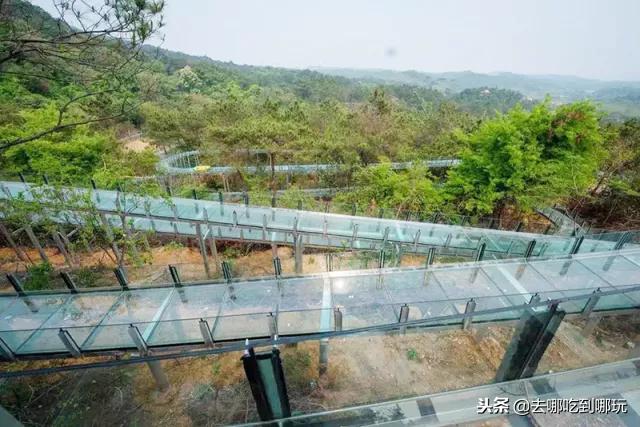 牛鱼嘴空中漂流丛林穿越,牛鱼嘴双龙玻璃空中漂流团购