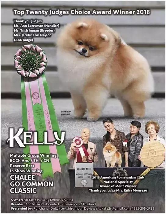 中国犬种繁殖状况,中国本土犬的繁殖现状