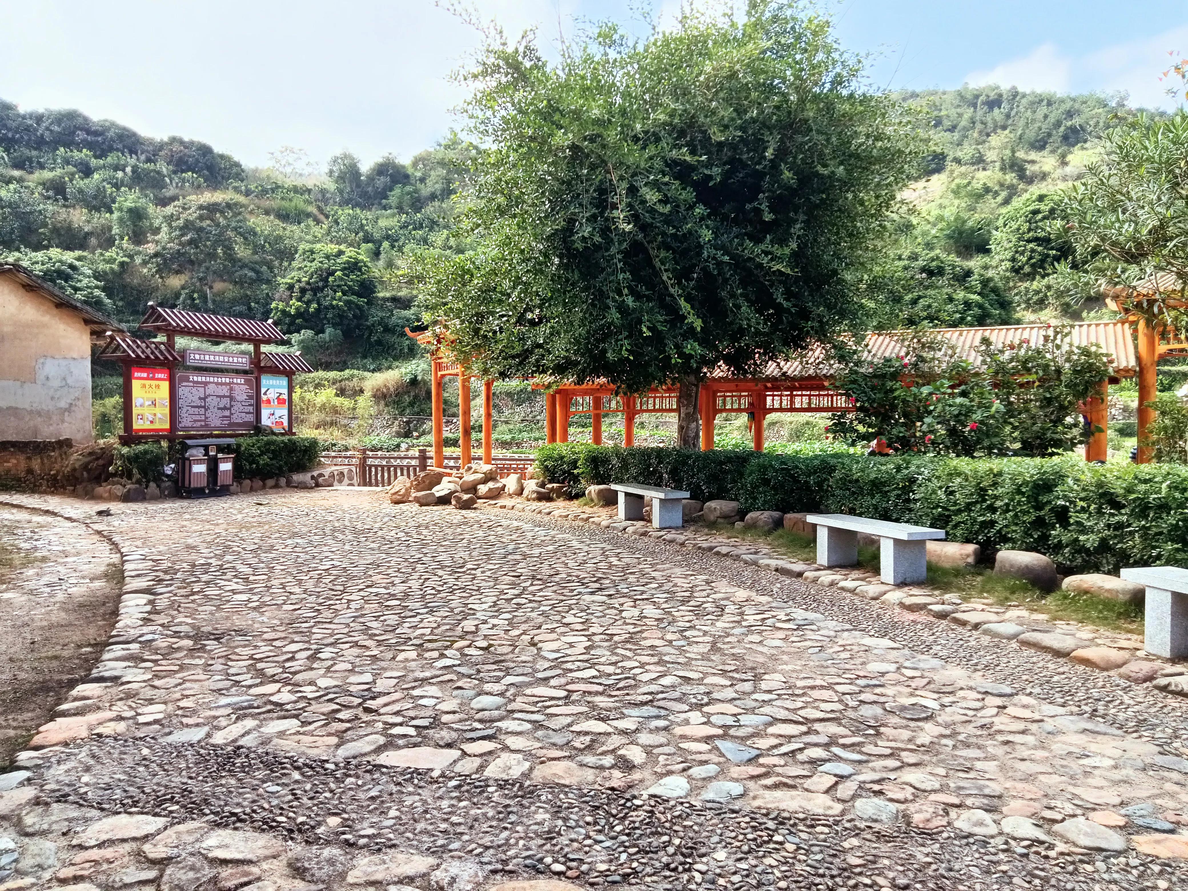 饶平三饶四方塘老榕树在哪里,榕树爷爷是合唱还是独唱