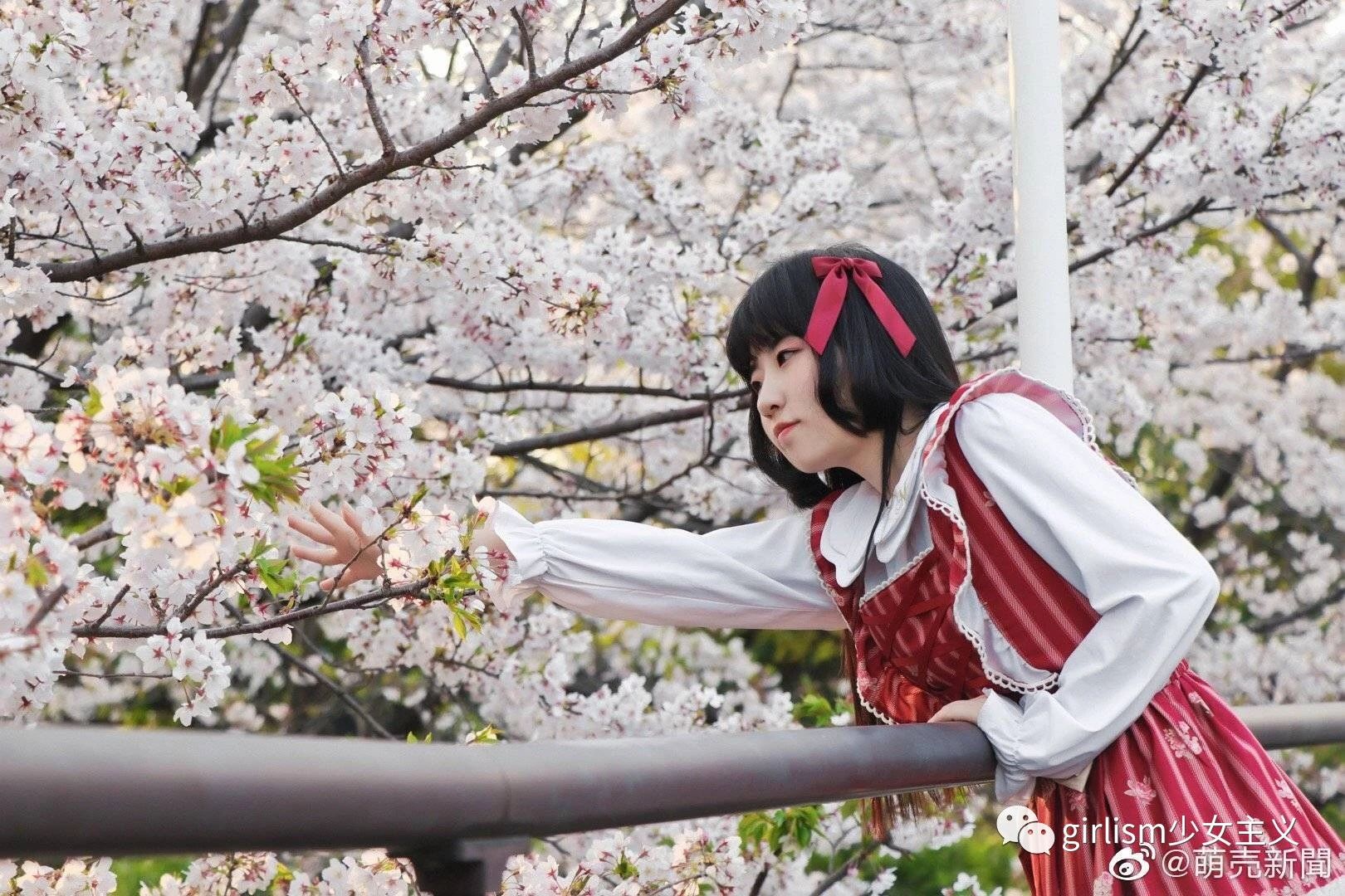 樱花与Lo|春天来了,好想穿上小裙子去赏花啊