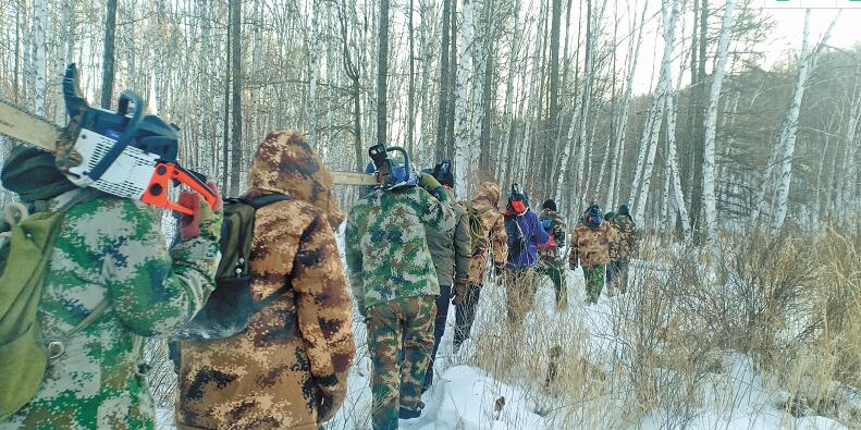 行走在冷冽的寒风中完整版,行走在冷冽的寒风中