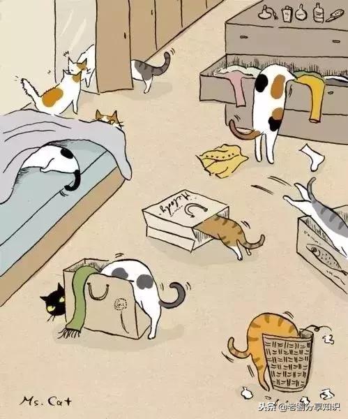 小学汉语拼音要点讲解,汉语拼音字母表声母韵母拼读口诀