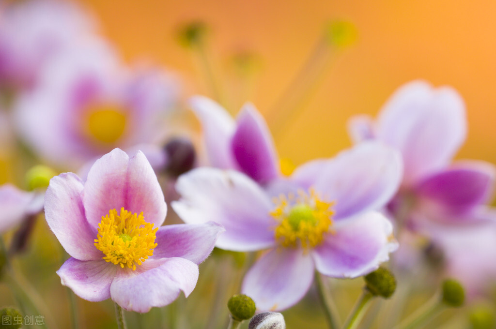 三观不合理的三观指的是哪三观,我们常说的三观不合什么是三观