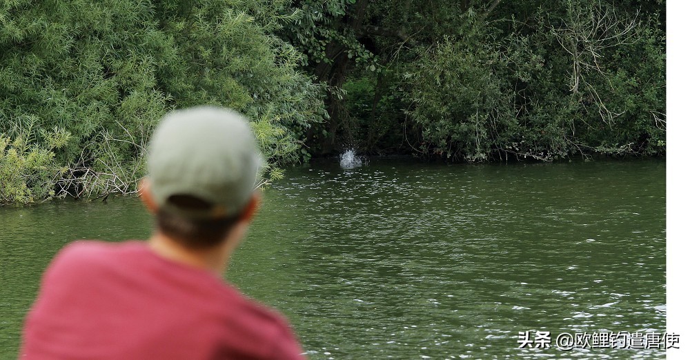 有哪些基础钓法初学者要学会,新手最稳妥的一种钓法