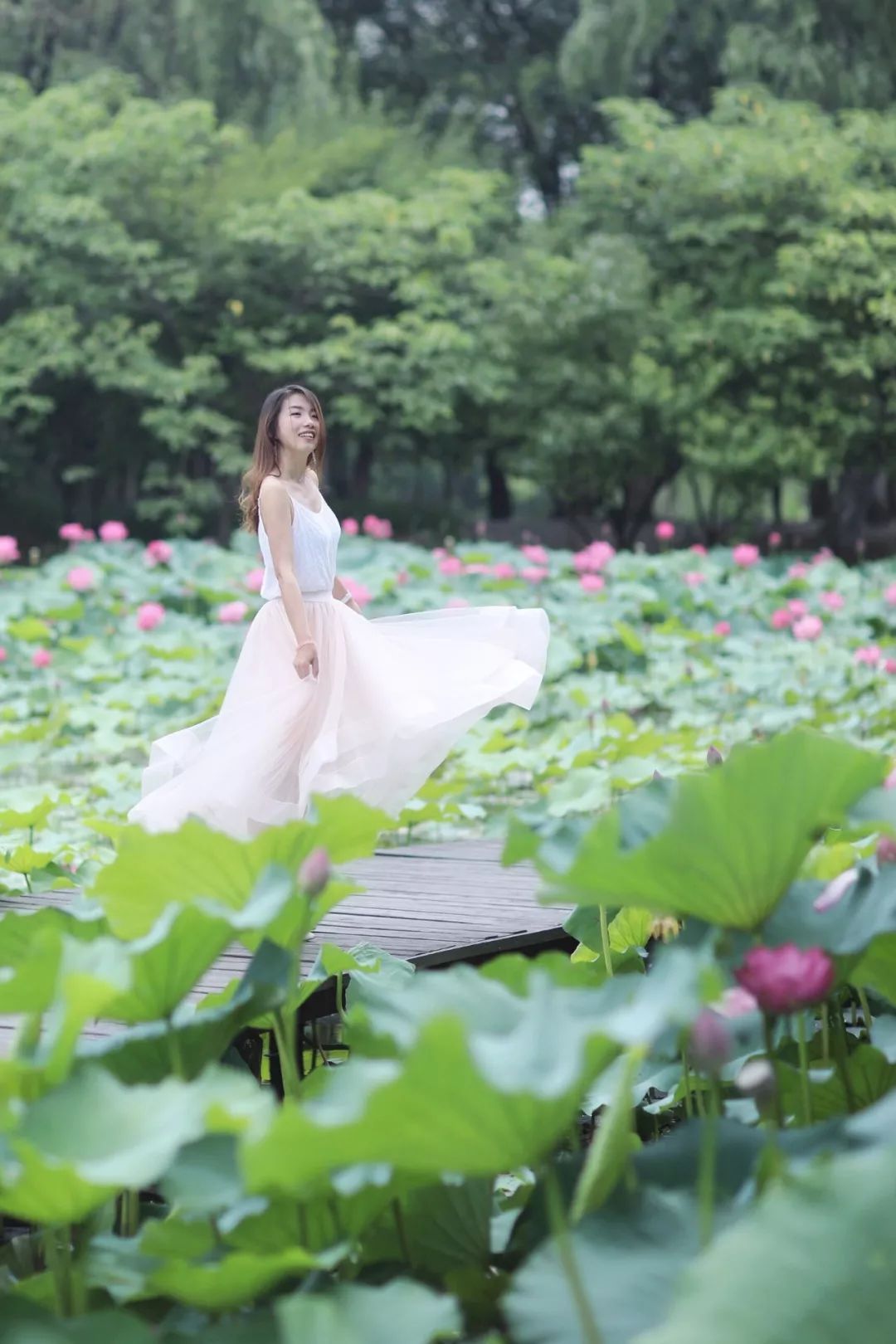 三月赏花一日游上海景点,本月上海赏花一日游最佳去处