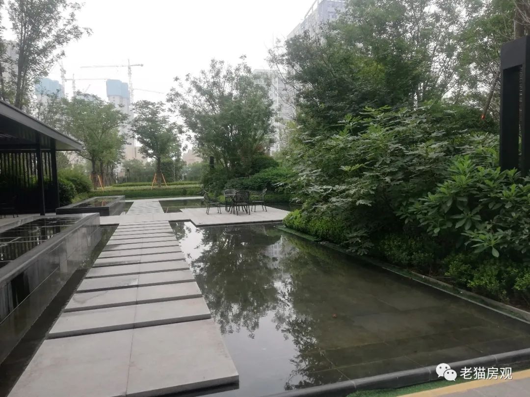 深度分析滨河国际新城,实地看盘系列