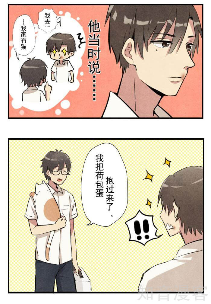 猫和铲屎官的日常生活漫画,猫和铲屎官的日常漫画