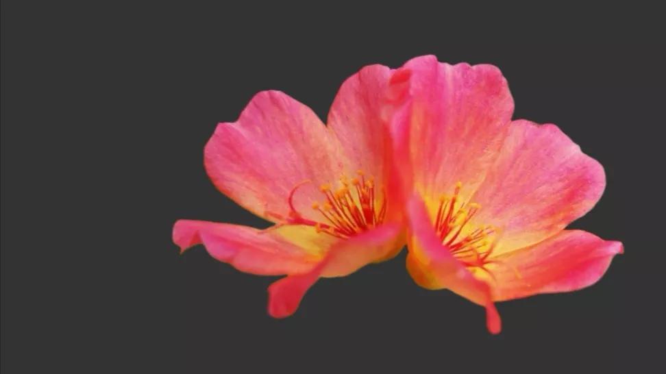 2021脑梗塞取栓治疗指南,脑梗塞取栓治疗适应症