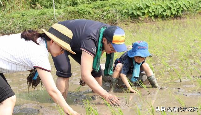 郭晶晶爱马仕15万的包,霍启刚郭晶晶爱马仕