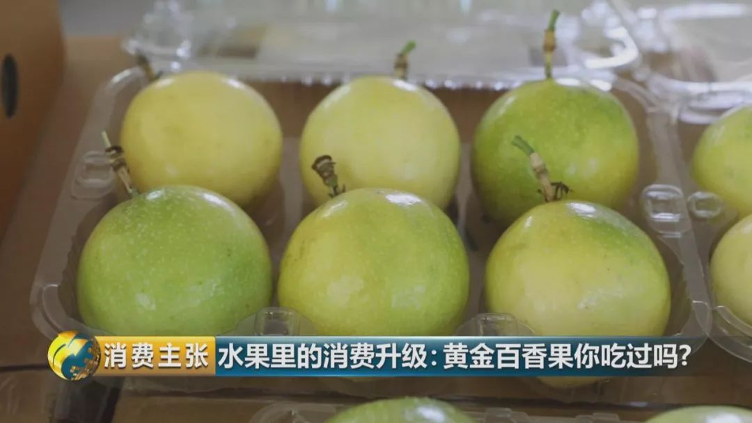 黄金百香果和台农百香果区别,黄金百香果和百香果哪个营养高