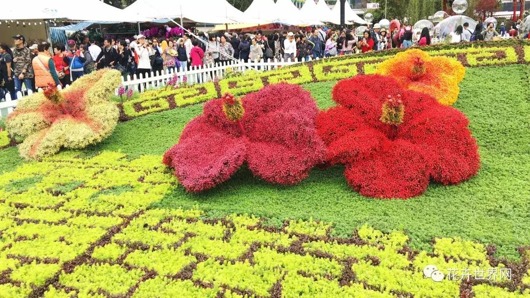 共赴盛会活动,香港国际花卉展