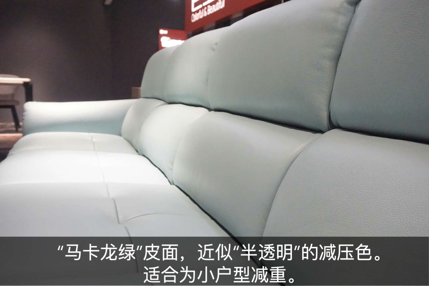 功能沙发高级感,格调沙发小沙发